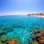 Ausflug Delphinhaus Hurghada